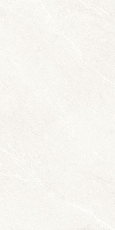 Dhara White Matte 24 x 48